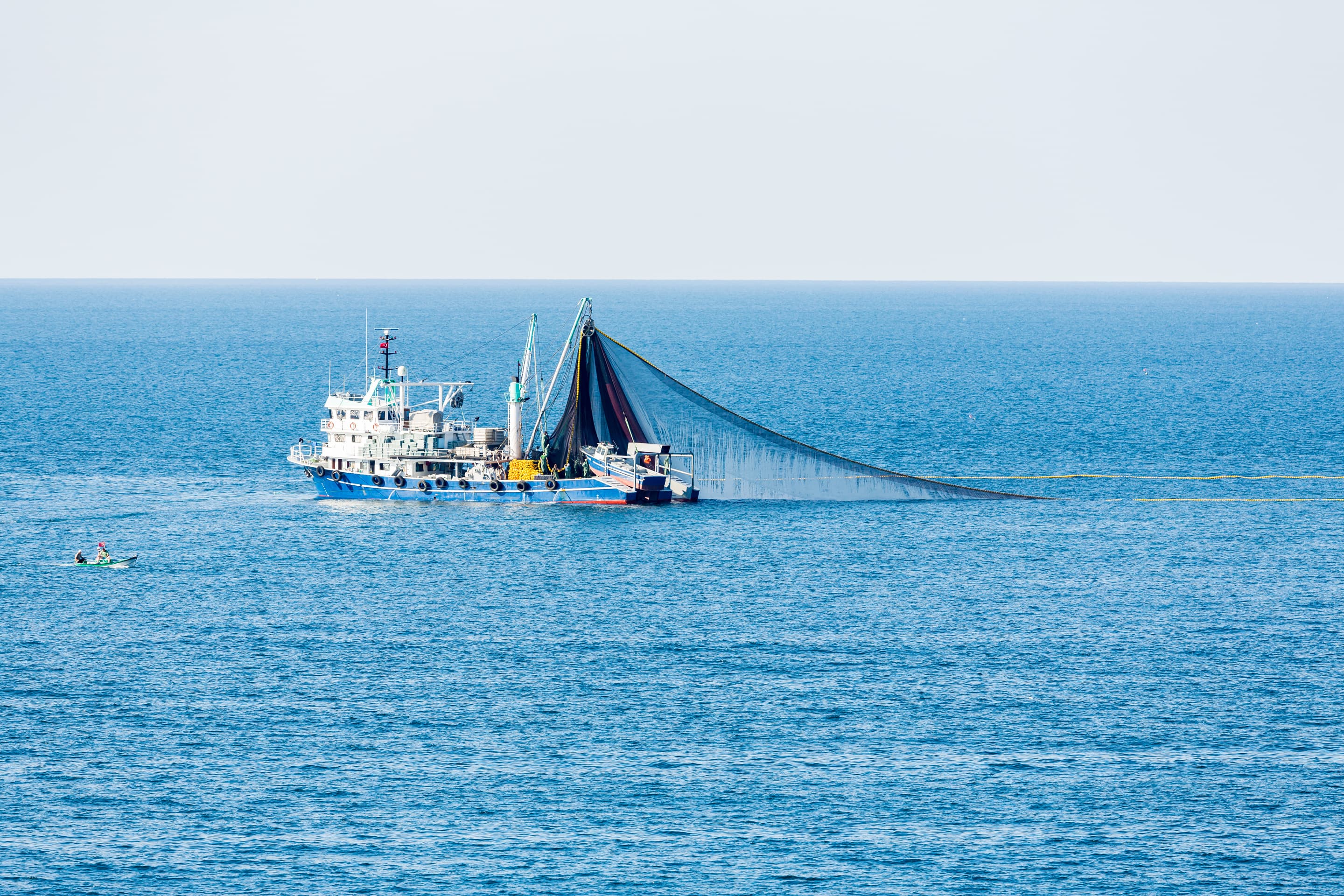 VisionTrawl